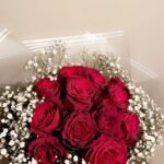 Deep Red Rose Bouquet with Baby’s Breath