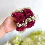 Deep Maroon Chrysanthemum & Baby’s Breath Hand Bouquet