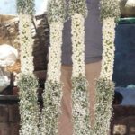 Elegant White Jasmine and Baby’s Breath Wedding Varmala Set