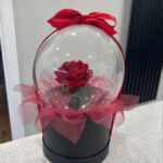 Single Red Rose in Crystal Balloon Box